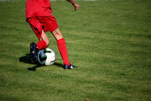 米兰体育·「中国」官方网站-篮球运动员心理健康维护及干预体系构建,篮球运动员心理训练